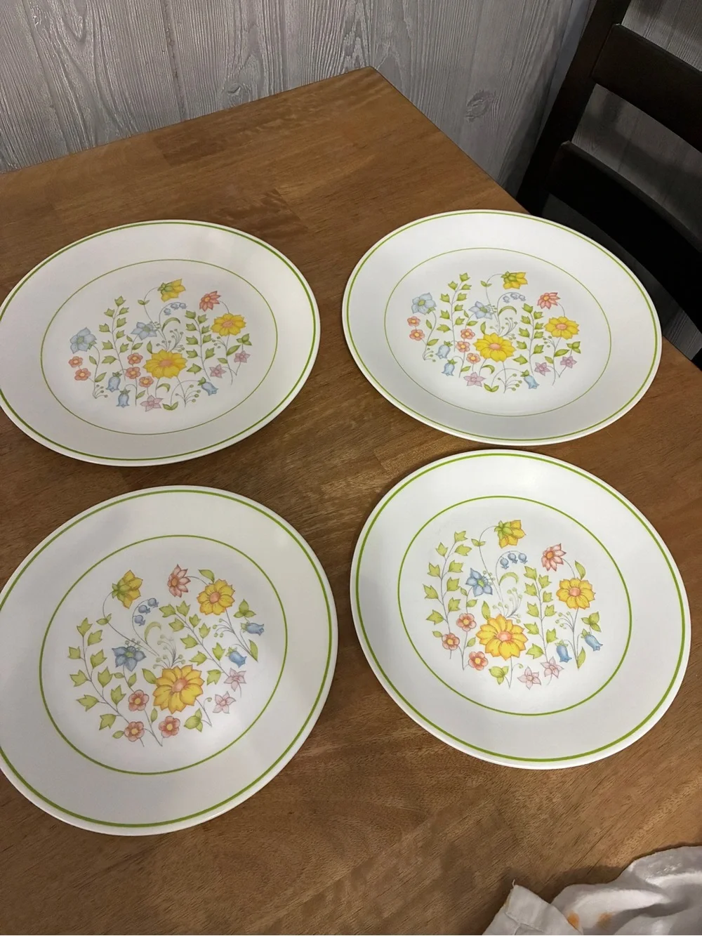 Corelle Spring Meadow 2 Dinner & 2 Lunch Plates  in Green Yellow Pink Blue